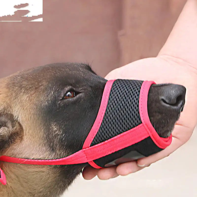 Couvre-Bouche pour Grand Labrador pour Éviter de Manger Boutique Ecom
