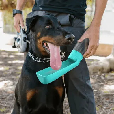 Gourde pour Chien – Hydratation facile, partout et à tout moment Chien