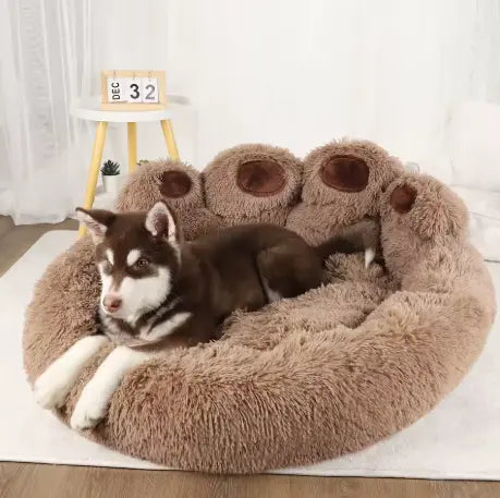 Canapé Moelleux – Un cocon de douceur et de confort Chien