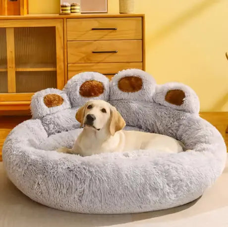 Canapé Moelleux – Un cocon de douceur et de confort Chien