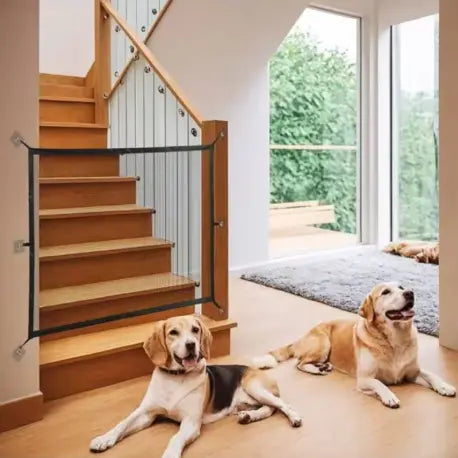 Clôture de Sécurité – Protection, liberté et tranquillité Chien