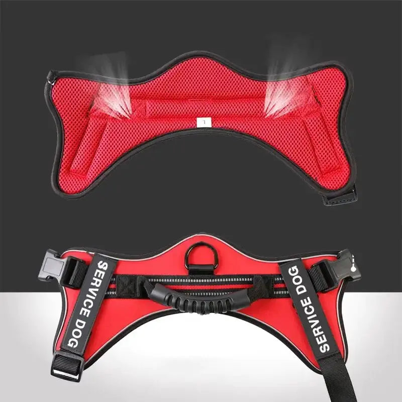 Laisse pour Chiens Moyens et Grands avec Gilet de Poitrail Boutique Ecom