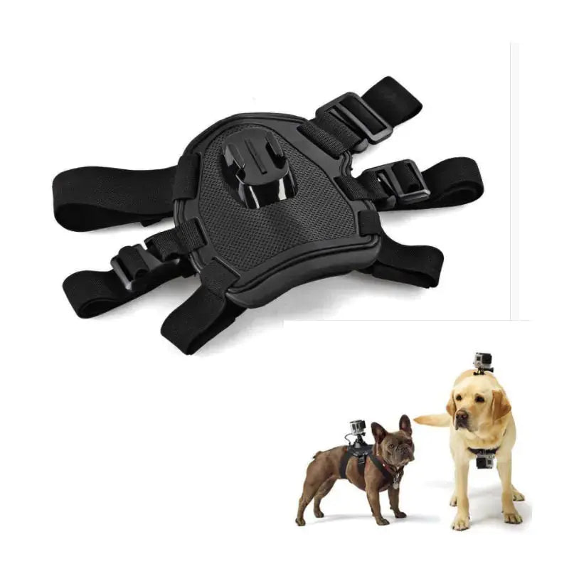 Harnais GoPro pour Chiens compatible avec Hero 8 7 5 6 & Accessoires DJI Boutique Ecom