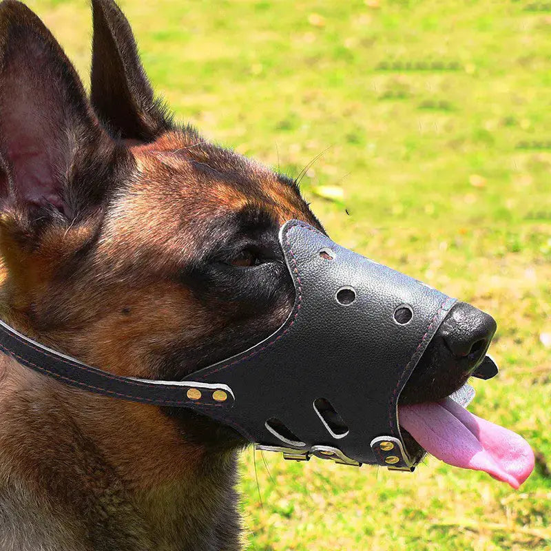 Masque Anti-Aboiement et Anti-Morsure pour Chiens de Taille Moyenne à Grande Boutique Ecom