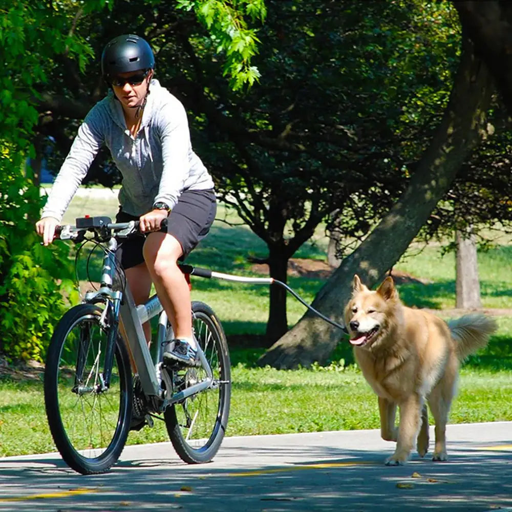 Laisse en Acier Inoxydable pour Chiens pour Aventures en Vélo Boutique Ecom