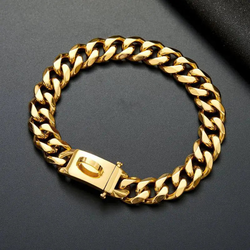 Laisse et Collier en Acier Inoxydable pour Chiens Moyens/Grands Boutique Ecom