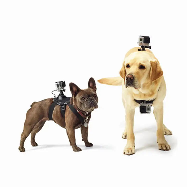 Harnais GoPro pour Chiens compatible avec Hero 8 7 5 6 & Accessoires DJI Boutique Ecom