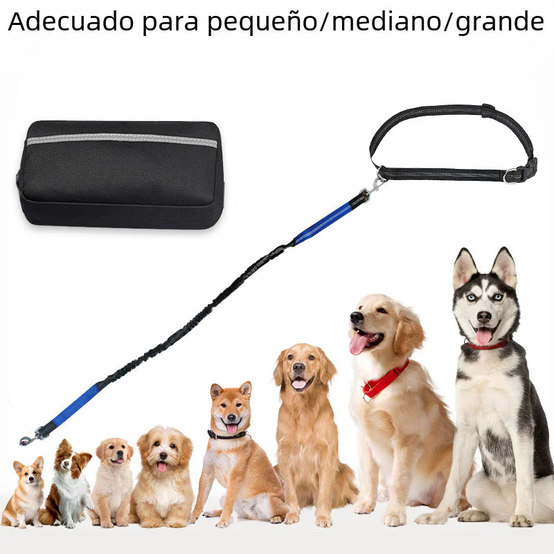 Sac de Taille pour Course avec Laisse pour Animaux de Compagnie Amazon Transfrontalier Boutique Ecom