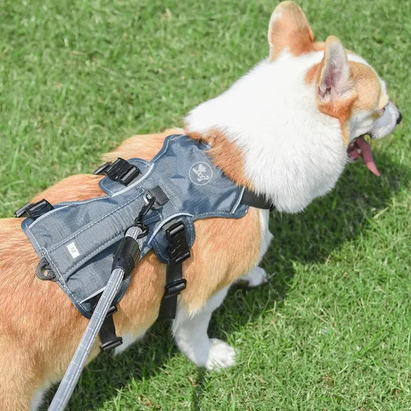 Reflective Anti-Breaking Dog Leash with Grip Boutique Ecom