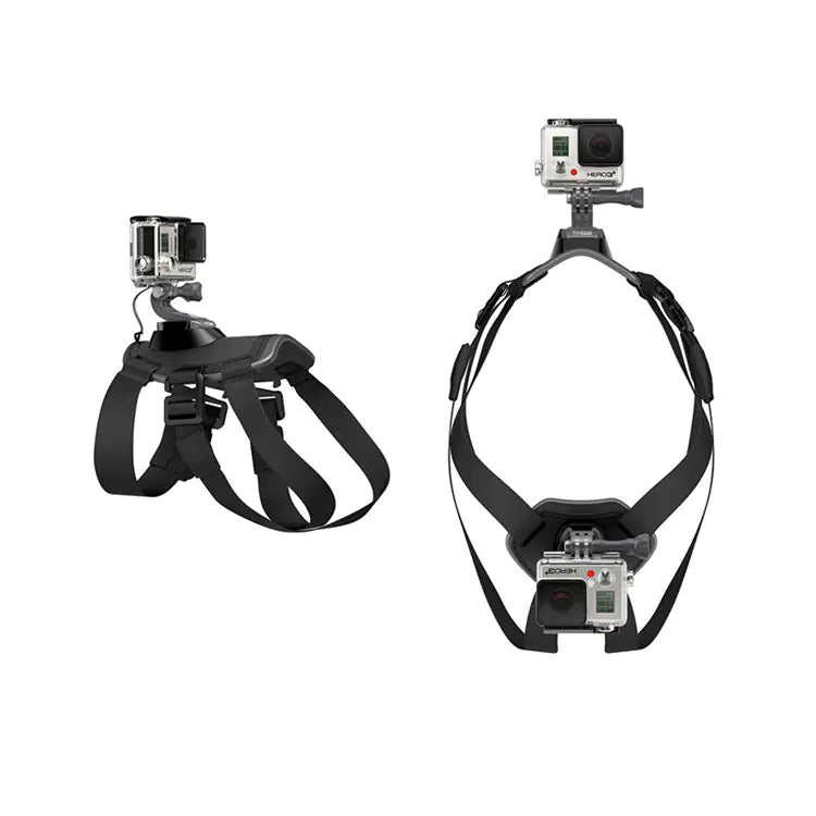 Harnais GoPro pour Chiens compatible avec Hero 8 7 5 6 & Accessoires DJI Boutique Ecom