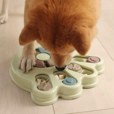 Chien en train de jouer avec une gamelle interactive pour stimuler son appétit et réflexion pendant les repas.