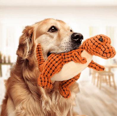 Chien golden retriever jouant avec une peluche dinosaure douce et robuste dans un intérieur accueillant.