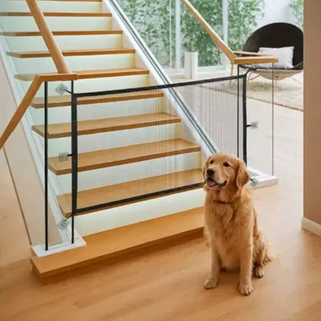 Clôture de Sécurité – Protection, liberté et tranquillité Chien