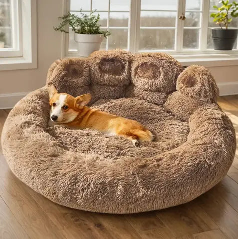 Canapé Moelleux – Un cocon de douceur et de confort Chien