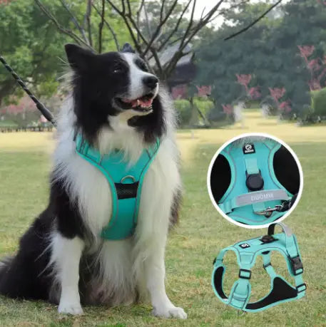 Harnais Anti-Traction – Contrôle, confort et sécurité en promenade Chien
