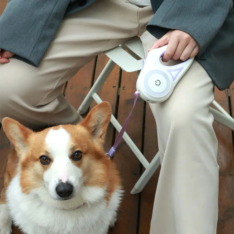 Laisse Rétractable pour Chien – Liberté de mouvement, contrôle total Chien