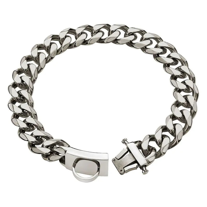 Laisse et Collier en Acier Inoxydable pour Chiens Moyens/Grands Boutique Ecom