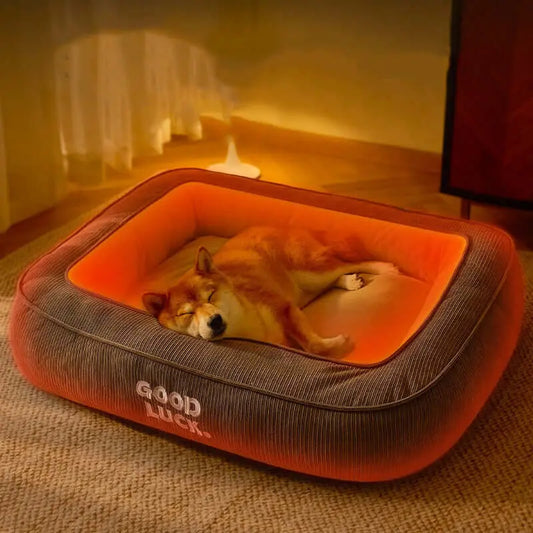 Lit Chauffant – Confort thermique pour des siestes paisibles Chien