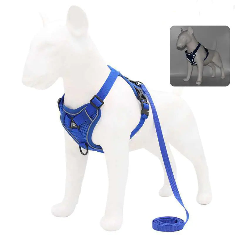 Anti-Strike Pet Vest Harness for Small/Medium Dogs Boutique Ecom