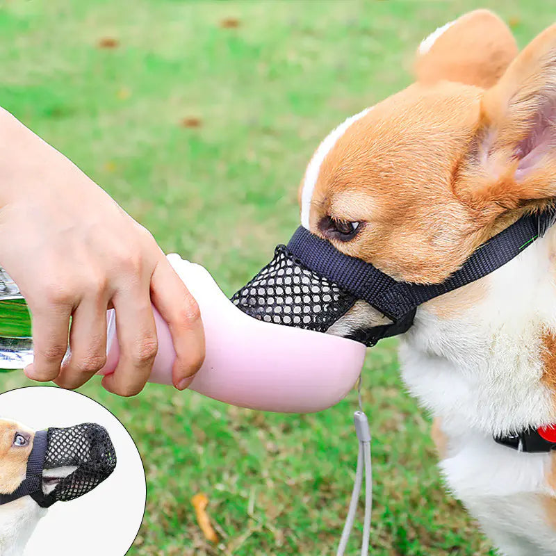 Muselière Anti-Morsure pour Chiens Petits et Grands Boutique Ecom
